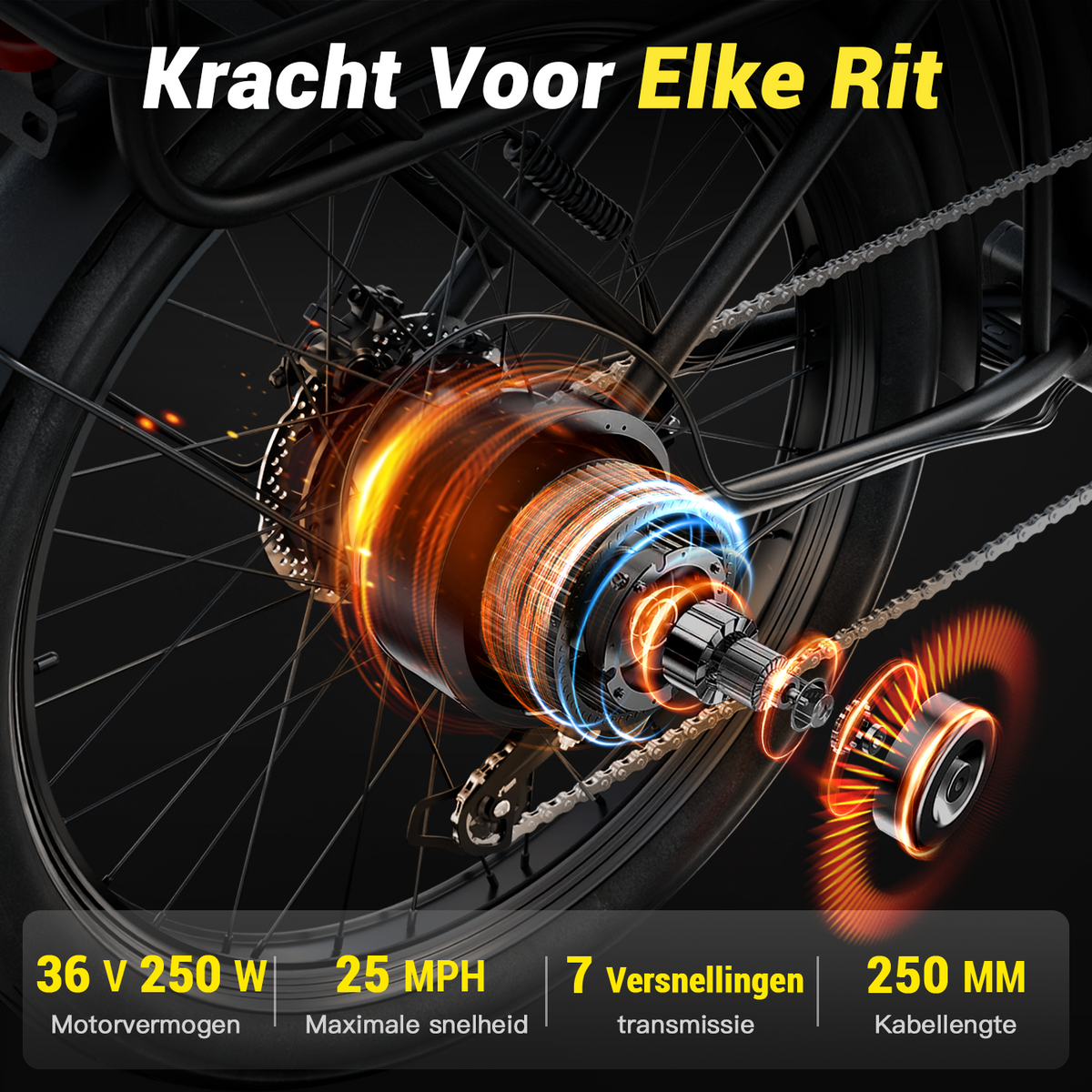 F40-Key-feature-motor